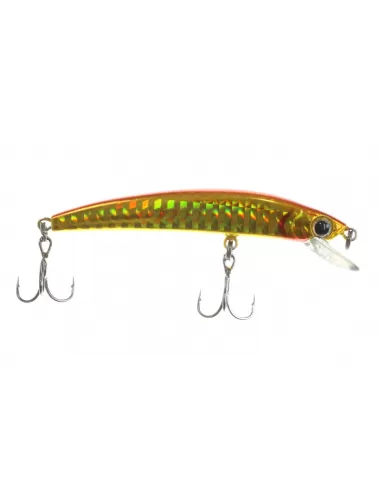 Artificiale Minnow da Pesca Rapture Hiroshi 70 mm Floating-Pescaloccasione