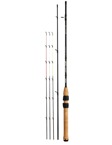 Mitchell epic mx2 coregone spinning rod