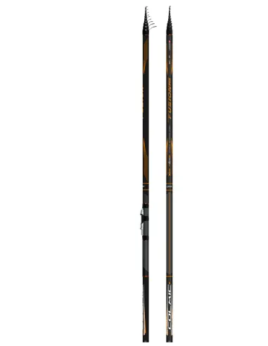 Colmic Fusion 200 Bolognese Fishing Rod 20 g