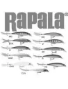 Rapala Minnow