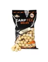 Boilies Carpfishing