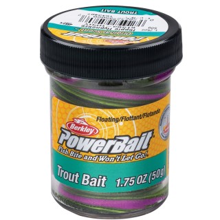 Best Powerbait for Trout Fishing - How to Use Powerbait