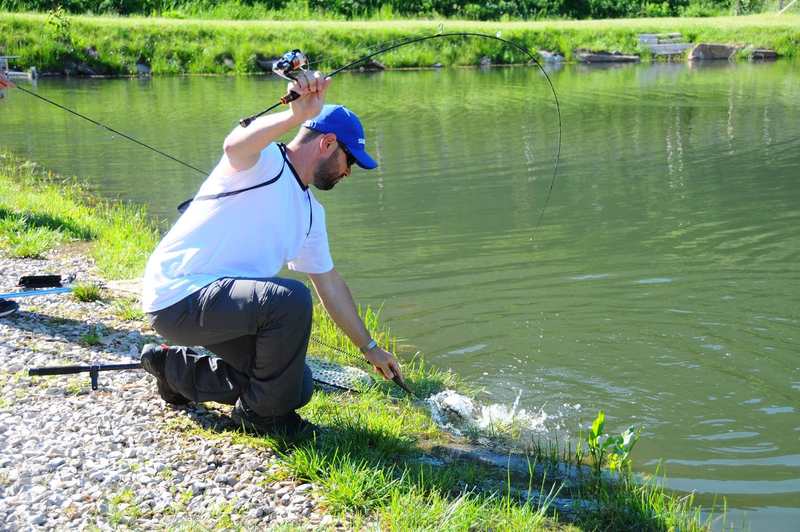 trout area rod