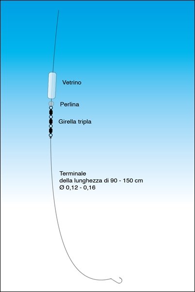 montatura vetrino trota