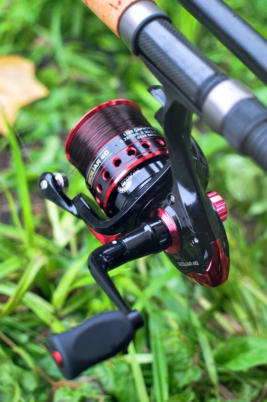 siciliar kolpo reel review