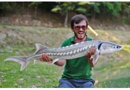 How to fish for sturgeon in a pond