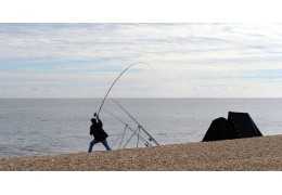 How to Fish for Bream