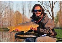 Pesca a feeder: le migliori montature, pasture ed esche da usare al lago