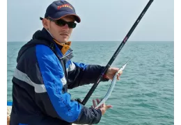 Sea fishing for garfish from the shore