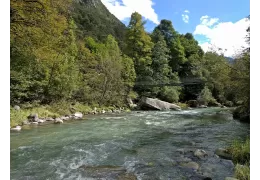 Pesca in Trentino sul fiume Sarca: i migliori consigli per divertirsi!