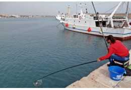 Mullet fishing with fixed rod