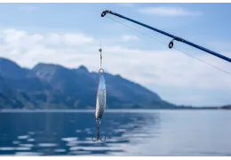 La Pesca in Acqua Dolce e Salata: Differenze e Approfondimenti